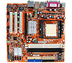 Foxconn WinFast 6150K8MA-8EKRS Motherboards