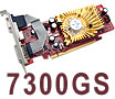 MSI NX7300GS-TD256E Video Cards